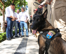 Reforço nas estradas: DER/PR entrega 36 viaturas e 5 cães ao Batalhão de Polícia Rodoviária