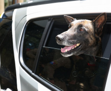 Reforço nas estradas: DER/PR entrega 36 viaturas e 5 cães ao Batalhão de Polícia Rodoviária
