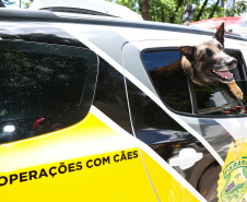 Reforço nas estradas: DER/PR entrega 36 viaturas e 5 cães ao Batalhão de Polícia Rodoviária