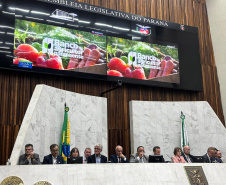 Em sessão solene, Assembleia homenageia os 80 anos da Secretaria da Agricultura