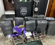 PCPR apreende 275 quilos de drogas em veículo que seguia para a Paraíba