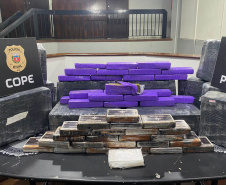 PCPR apreende 275 quilos de drogas em veículo que seguia para a Paraíba