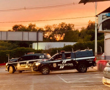 PCPR, PMPR e GM prendem oito durante operação contra o tráfico de drogas em Toledo