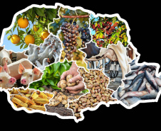 ALIMENTAR