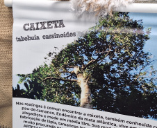 SETU EXPOSIÇÕES PARANAGUÁ