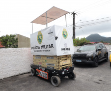 PLATAFORMA ELEVADA PM