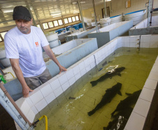 Copel conquista certificado de empresa sustentável na B3
