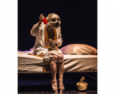 24º Festival Espetacular de Teatro de Bonecos promovido pelo Teatro Guaira está com ingressos à venda para o público