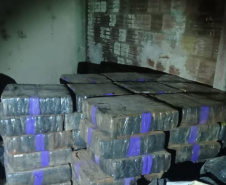 Primeira grande apreensão do ano: PCPR localiza 1,1 tonelada de maconha em Umuarama