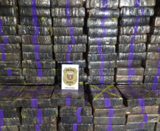 Primeira grande apreensão do ano: PCPR localiza 1,1 tonelada de maconha em Umuarama