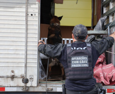 SESP FORÇA DE SEGURANÇA OPERAÇÃO RODOVIAS