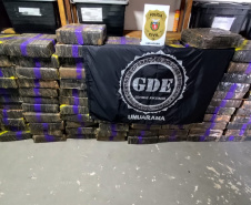 Primeira grande apreensão do ano: PCPR localiza 1,1 tonelada de maconha em Umuarama