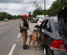 SESP FORÇA DE SEGURANÇA OPERAÇÃO RODOVIAS