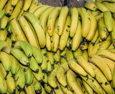 FRUTAS
