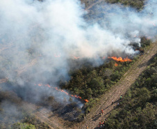 Com incêndios em alta, bombeiros registraram aumento de 10% no total de ocorrências em 2024