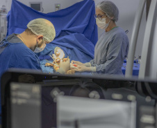 SEFA PRORROGA ISENÇÃO ICMS INSUMOS MÉDICOS