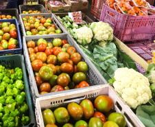 Governo divulga edital de R$ 77 milhões para Compra Direta de alimentos