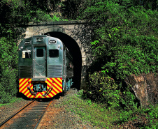 Único brasileiro na lista, passeio de trem do Paraná é eleito um dos melhores do mundo por editora britânica