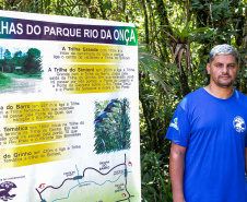 Equipe do IAT devolve tamanduá mirim à natureza