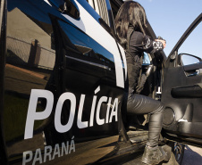 Primeira grande apreensão do ano: PCPR localiza 1,1 tonelada de maconha em Umuarama