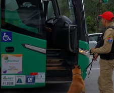 DER FISCALIZAÇÃO DE TRANSPORTE