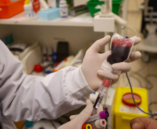 Doe vida nas férias: Saúde pede doações de sangue para suprir demanda no Paraná