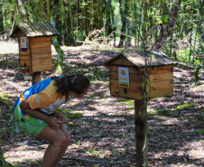 IAT EDUCAÇÃO AMBIENTAL ILHA DO MEL
