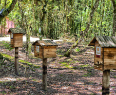 IAT EDUCAÇÃO AMBIENTAL ILHA DO MEL