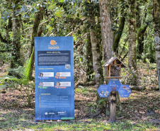 IAT EDUCAÇÃO AMBIENTAL ILHA DO MEL