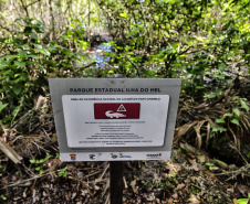 IAT EDUCAÇÃO AMBIENTAL ILHA DO MEL