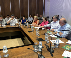 SESA COMITÊ INTERSETORIAL DA DENGUE