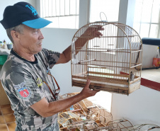 IAT APREENSÃO AVES