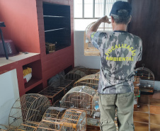 IAT APREENSÃO AVES