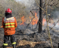 Com incêndios em alta, bombeiros registraram aumento de 10% no total de ocorrências em 2024