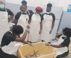 Projeto paranaense de produção de couro de peixe será implantado em  Cabo Verde com apoio da ONU
