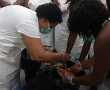 Projeto paranaense de produção de couro de peixe será implantado em  Cabo Verde com apoio da ONU
