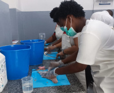 Projeto paranaense de produção de couro de peixe será implantado em  Cabo Verde com apoio da ONU