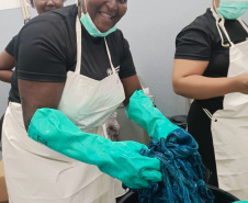 Projeto paranaense de produção de couro de peixe será implantado em  Cabo Verde com apoio da ONU