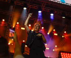 shows