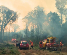 Com incêndios em alta, bombeiros registraram aumento de 10% no total de ocorrências em 2024
