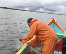 Um dia após a proibição da pesca, agentes do IAT recuperam 13 quilos de camarão em Guaraqueçaba