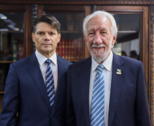 VICE GOV POSSE PRESIDENTE TCE