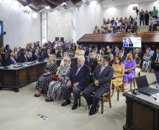 VICE GOV POSSE PRESIDENTE TCE