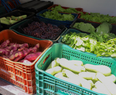 Governo divulga edital de R$ 77 milhões para Compra Direta de alimentos
