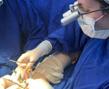 SEFA PRORROGA ISENÇÃO ICMS INSUMOS MÉDICOS