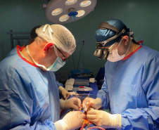 SEFA PRORROGA ISENÇÃO ICMS INSUMOS MÉDICOS