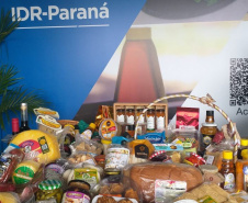  IDR-Paraná vai levar mais de 100 tecnologias ao Show Rural 2025 em Cascavel