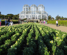 Jardim Botânico, em Curitiba