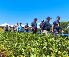 Agroshow Copagril, em Marechal Cândido Rondon
