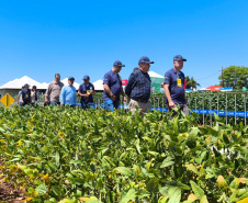 Agroshow Copagril, em Marechal Cândido Rondon